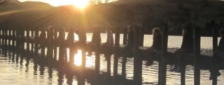  Relajarse en el muelle 